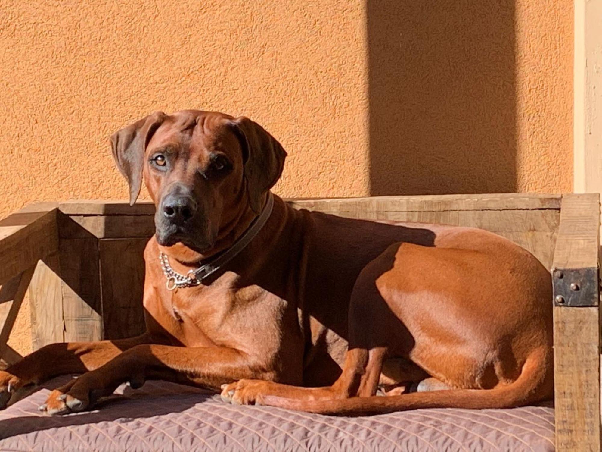 Meraviglioso Super Attico Con Terrazza Milão Exterior foto